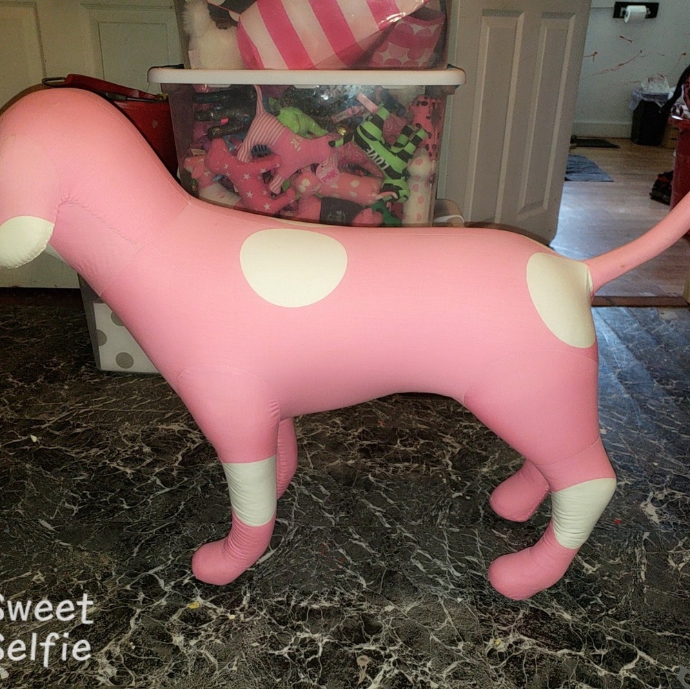 Victorias secret display dog